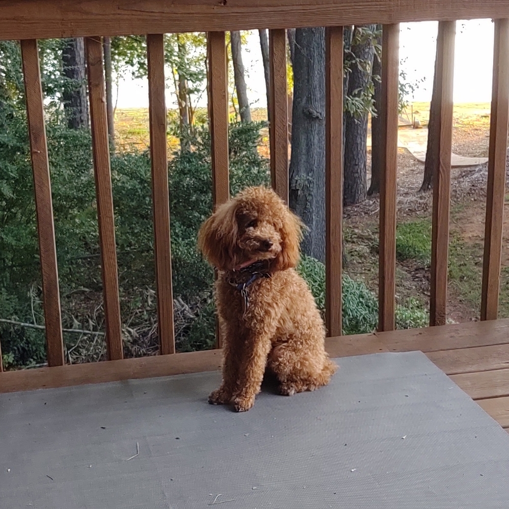 Meet your Posher, Sally